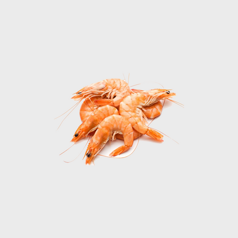 Medium Prawn