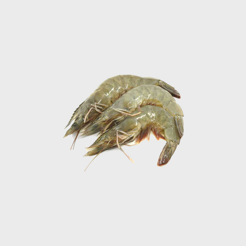 Large Prawn